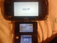 NintendoSupporter<3